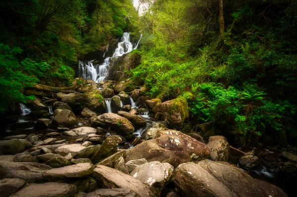 Belle Cascade Torc Dans Parc National Killarney Irlande — Photo