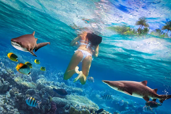 Frauenschwimmen Tropischen Wasser Mit Gefährlichen Haien — Stockfoto