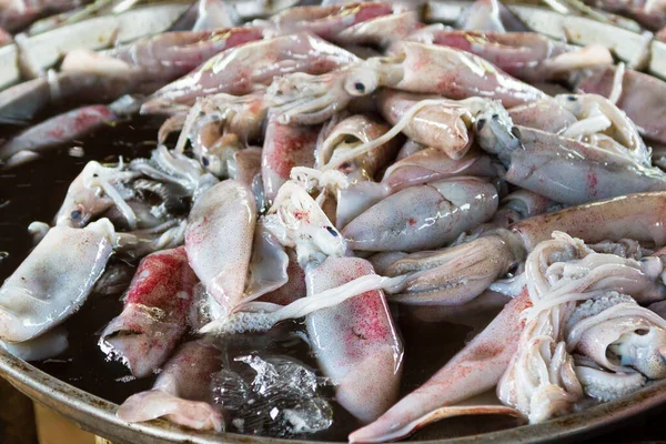 Fresh Squids Seafood Market Thailand — Stock Photo, Image