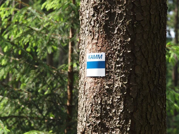 Znak drogowy na drzewo — Zdjęcie stockowe