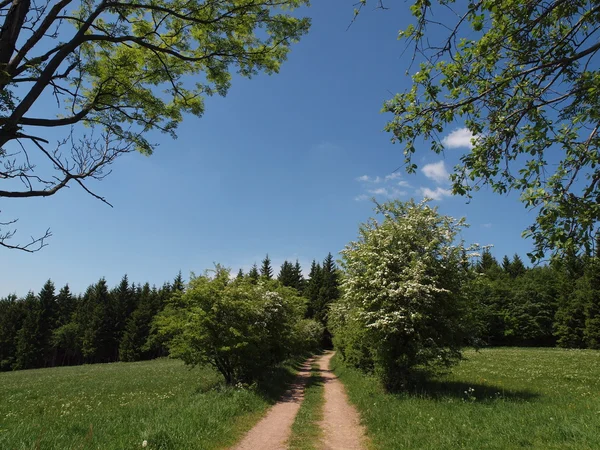 Path in the Erzgebirge — Stock Photo, Image