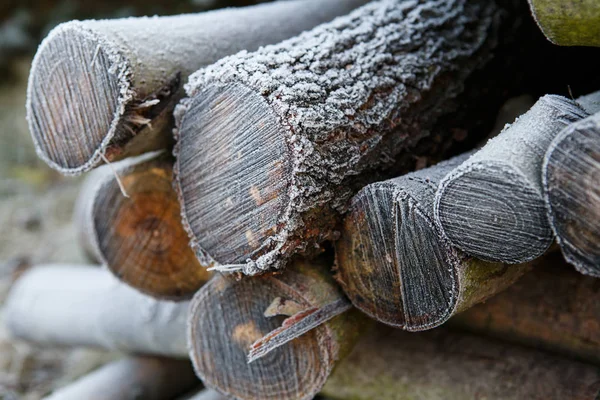 Frost'un yakacak odun yığını üzerinde — Stok fotoğraf