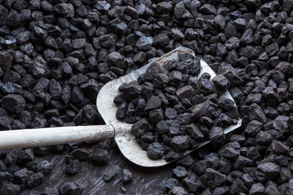Shovel and coal — Stock Photo, Image