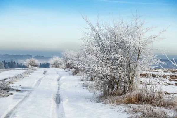 冷冻的树木和路径在雪地里。美丽的白色冬天. — 图库照片