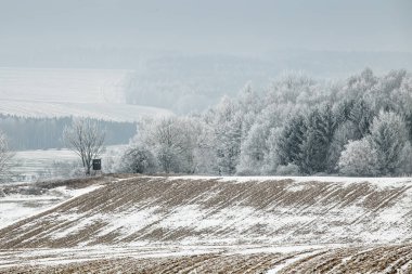 Donmuş ağaçlar alan ve mavi gökyüzü ile kış manzarası