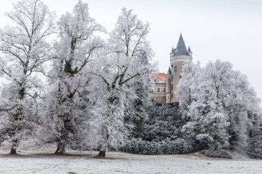 Chateau Zleby kış, Çek Cumhuriyeti.