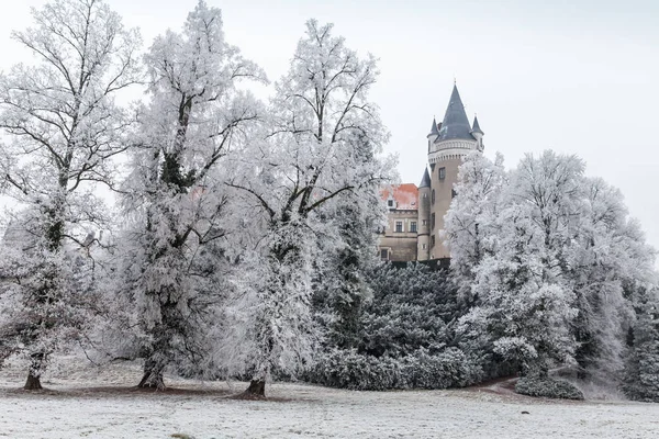 Chateau Zleby in winter, Czech Republic. — Stock Photo, Image