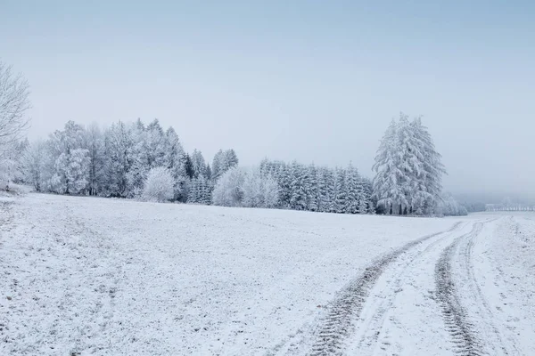 Winterlandschap met bevroren bomen in veld en de blauwe hemel — Stockfoto