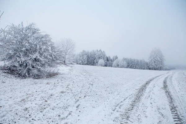 Winterlandschaft mit gefrorenen Bäumen im Feld und blauem Himmel — Stockfoto