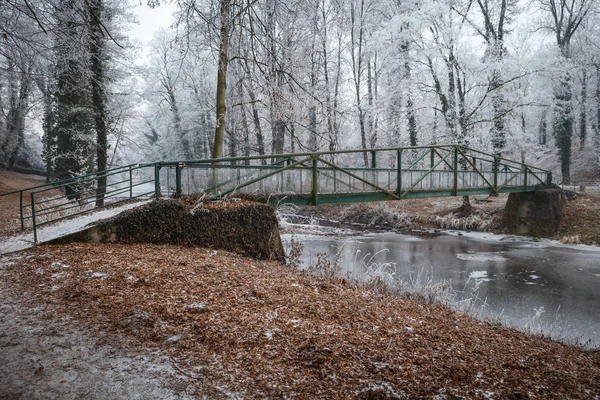 Eiserne Brücke im Park, die über den Fluss führt — Stockfoto