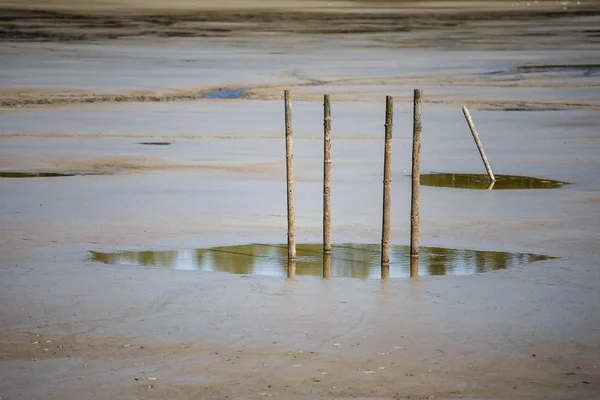 Lago seco y pilares de madera atrapados en el barro — Foto de Stock