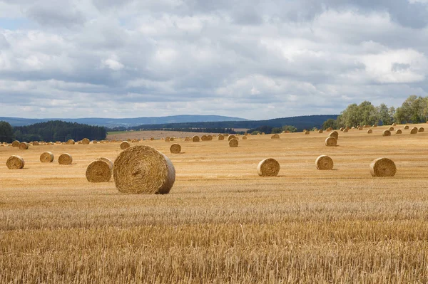 Hooibalen op het veld na de oogst — Stockfoto