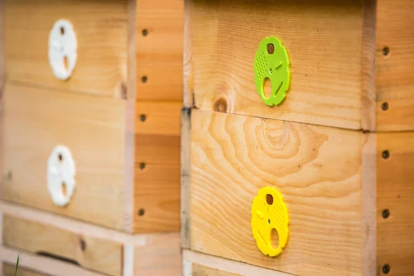 木製の巣箱。ミツバチのハイブ. — ストック写真