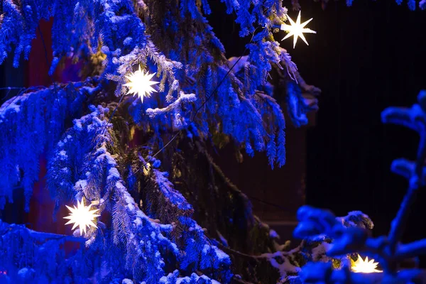 White Christmas sterren op een spar-boom — Stockfoto