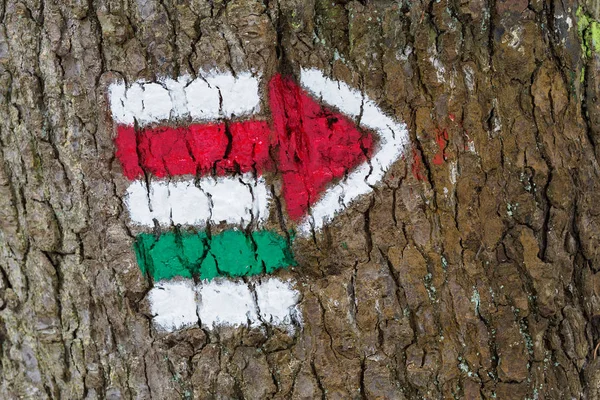 A túrázás, a kéreg a fa, nyíl alakú színes jeleket — Stock Fotó