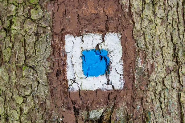 観光観光旅行のための木の記号 — ストック写真