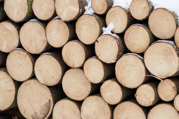 Bois d'épinette en arrière-plan. Cheminée de bois de chauffage. — Photo