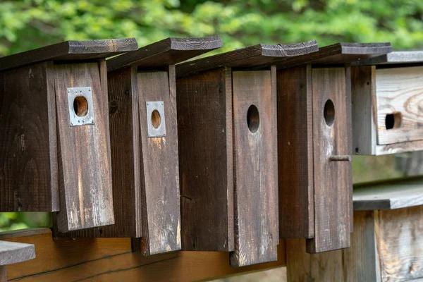 Wooden bird houses in a row, bird boxes. — Stock Photo, Image