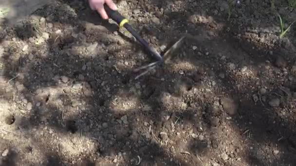 Hand Works Soil Tool Close Woman Hand Working Soil — Stock Video