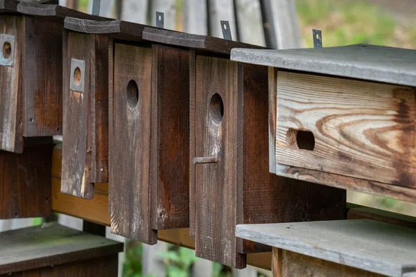 Wooden Bird Houses Row Bird Boxes — Stock Photo, Image