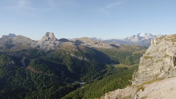 Сосны Еловые Леса Альпийские Вершины Группа Тофана Доломитовых Альпах Италия — стоковое видео