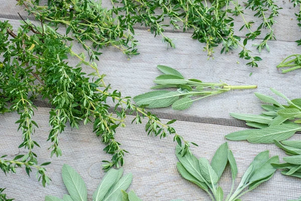 Drying fresh herbs and greenery for spice food on wooden desk — Stock Photo, Image