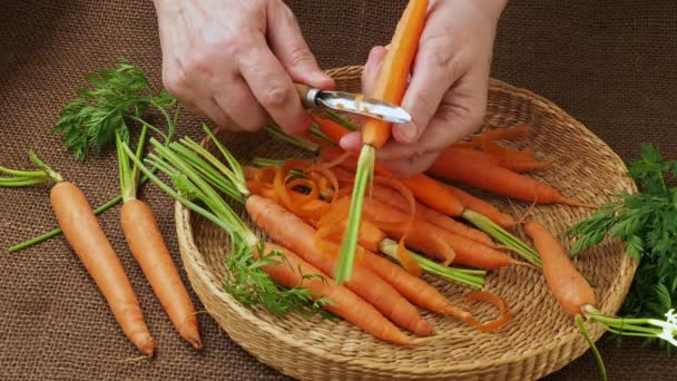 Vegetales Raíz Primeros Planos Manos Mujer Pelando Zanahoria — Vídeo de stock