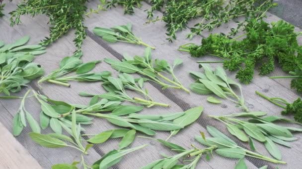 Secado Hierbas Frescas Vegetación Para Comida Picante Fondo Escritorio Madera — Vídeo de stock