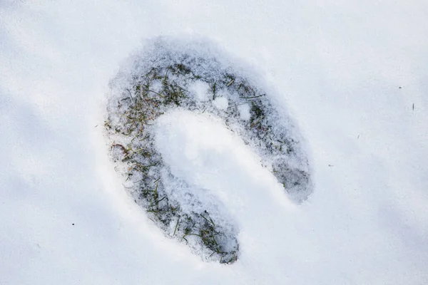 Fußabdruck Von Hufeisen Schnee — Stockfoto