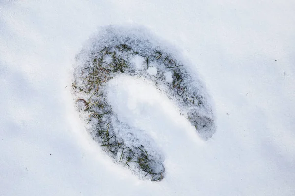 Fotavtryck Hästsko Snö — Stockfoto