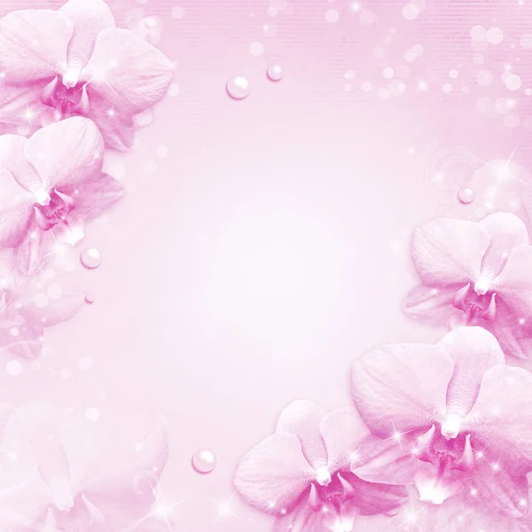 Orchids border — Stock Photo, Image