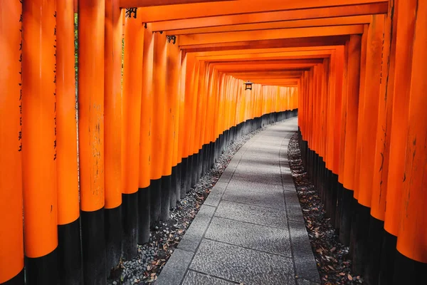 Sendero Torii en el Santuario Inari Taisha de Fushimi en Kyoto, Japón —  Fotos de Stock