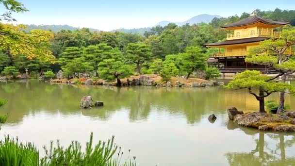 Ναός του Χρυσού Περιπτέρου Κινκάκου-Τζι, Kyoto Japan — Αρχείο Βίντεο