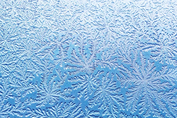 Bacterial pattern like a frost — Stock Photo, Image