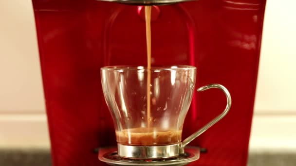 Coffee espresso preparation — Stock Video