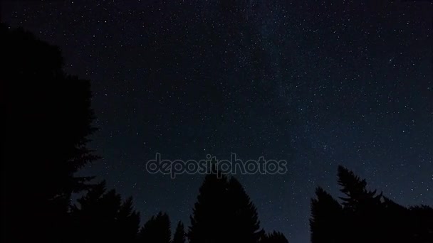 Ночное небо со звездами — стоковое видео