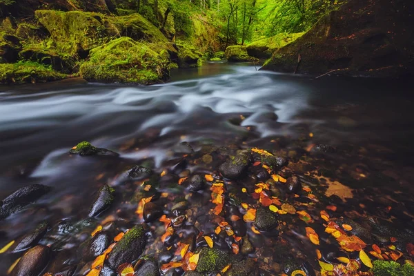 River Kamenice in autumn, Bohemian Switzerland — Stock Photo, Image