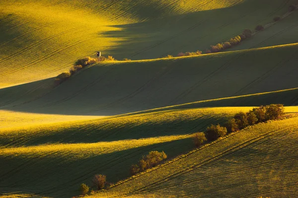 Linee di alba e onde con alberi in primavera — Foto Stock