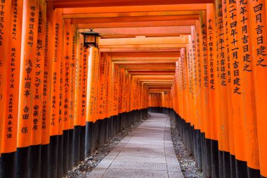 Torii yolda Fushimi Inari Taisha tapınak Kyoto, Japonya
