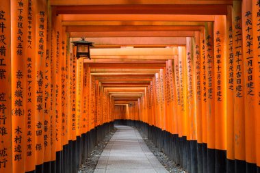 Torii yolda Fushimi Inari Taisha tapınak Kyoto, Japonya