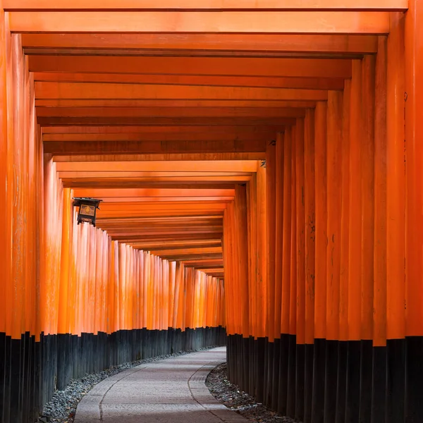 Torii path beim fushimi inari taisha-Schrein in kyoto, Japan — Stockfoto