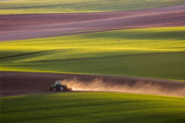 Traktor ekék a mező tavasszal — Stock Fotó