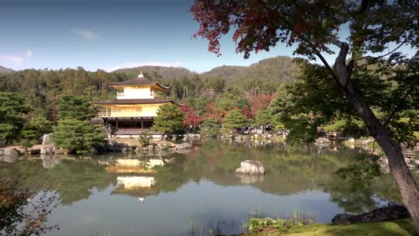 Chrám Zlatého pavilonu Kinkaku-ji, Kjóto Japonsko — Stock video