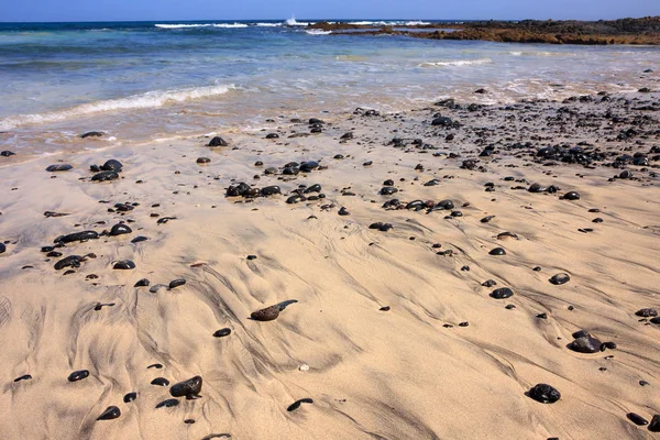 Pedras redondas em uma praia arenosa — Fotografia de Stock