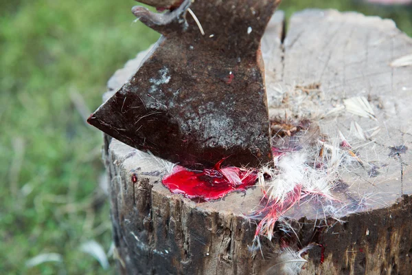 Топор с кровью и перьями птиц на пне — стоковое фото