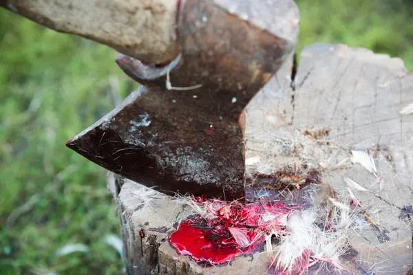 Kan ve ağaç kütüğü üzerinde kuşların tüyleri ile axe — Stok fotoğraf