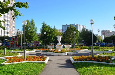 Moskova, Rusya - 01.01.2016. Zelenograd sokakta kadife çiçeği ile saksı