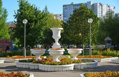 Moskova, Rusya - 01.01.2016. Zelenograd sokakta kadife çiçeği ile saksı