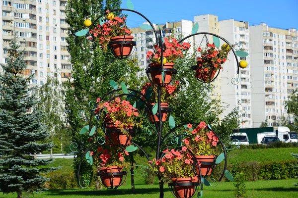 모스크바, 러시아에서 Zelenograd 꽃 침대 — 스톡 사진