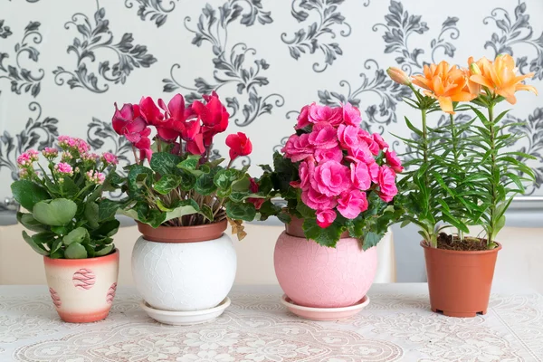 Diverse ingemaakte bloemen liggen op tafel in de kamer — Stockfoto